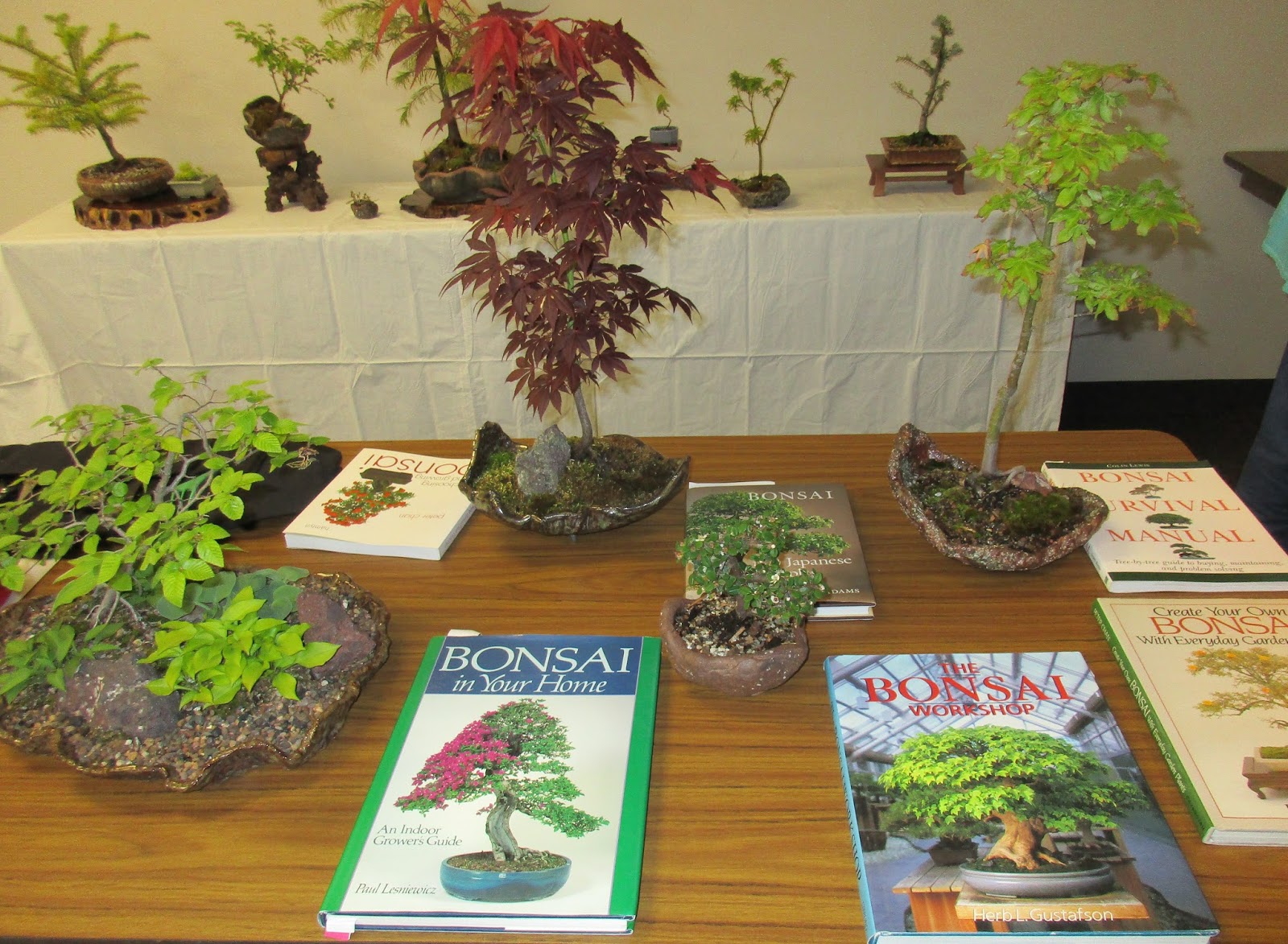 Eastern Michigan Hosta Society Affordable Bonsai presentation by Mark