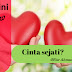 Cinta Sejati? | Oleh Nur Ahmad Mauludi