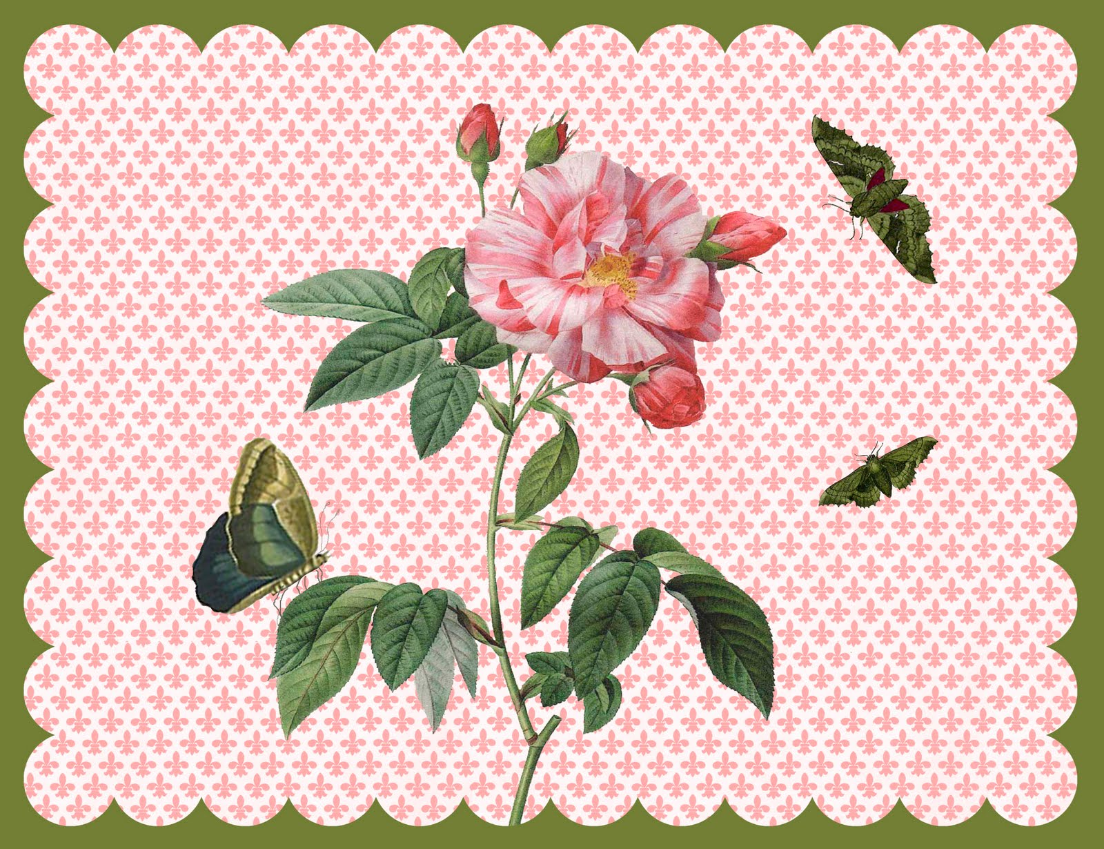 Sandra McFarland's Placemat World Laminated Placemats