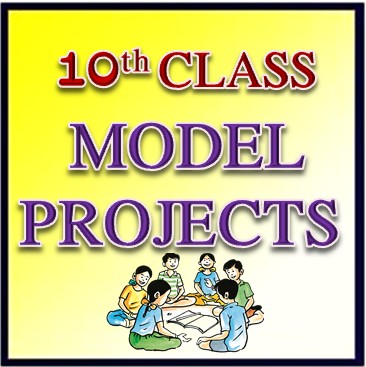 10th Class Biology Project 7 Coordination In Life Processes Em Educational Portal In Telugu Free Educational Science Materials For Andhra Pradesh And Telangana Biology Science Maths Physics Ssc And Upsc Exams Science Guru