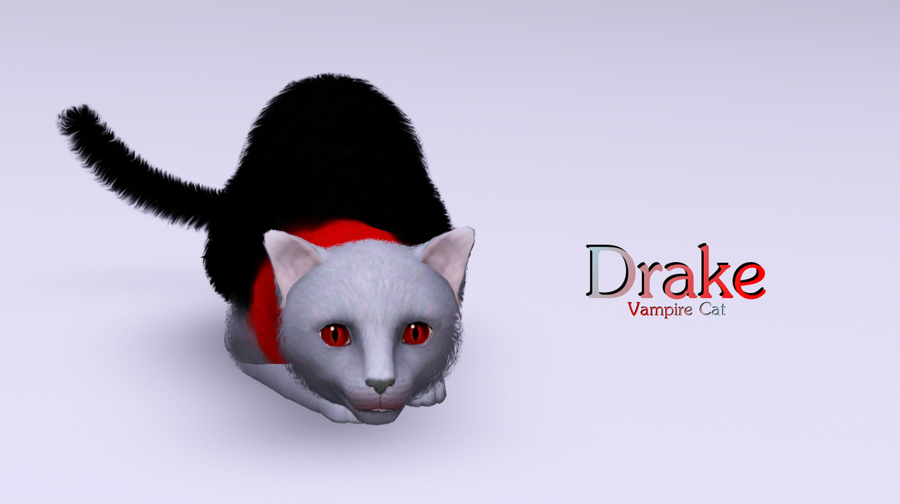 Twisted cat sims 4. Twisted cat sims 4. Twisted cat sims 4. Twisted cat sims 4. Twisted cat sims 4.