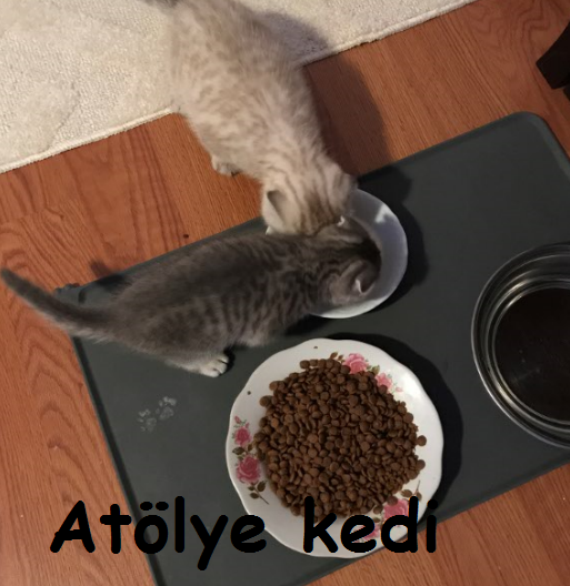 Atölye Kedi Cumadan Pazara…