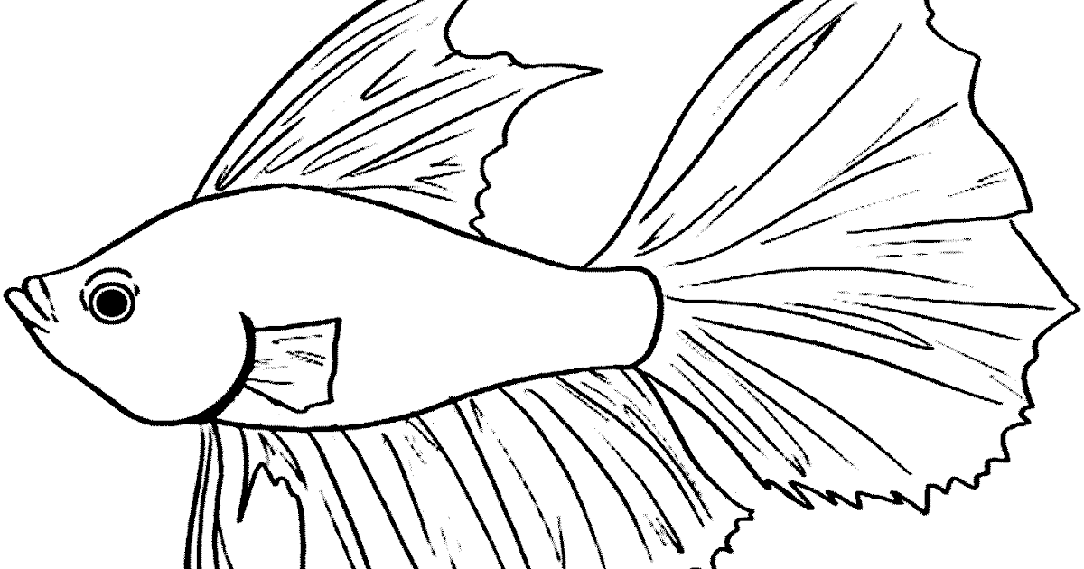 40+ Gambar Animasi Lucu Ikan Cupang