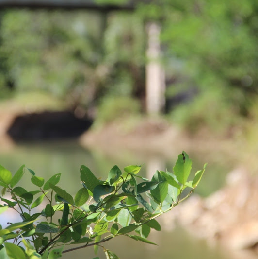 Jujur Saya Tak Seperti Itu