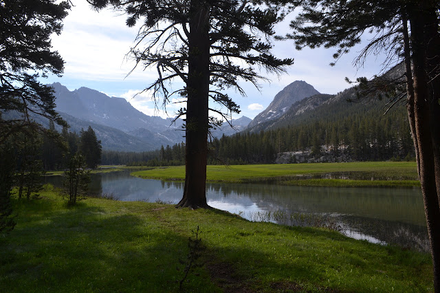 McClure Meadow is a vastness of green