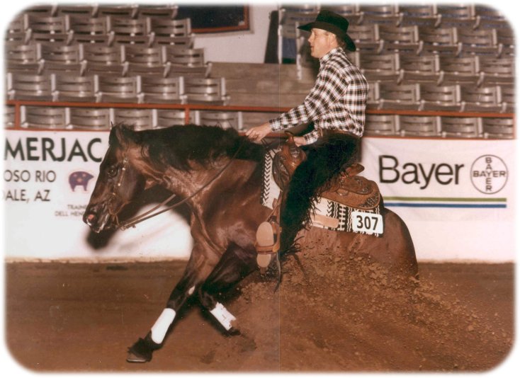 Grande bottino equitazione Dick veloce