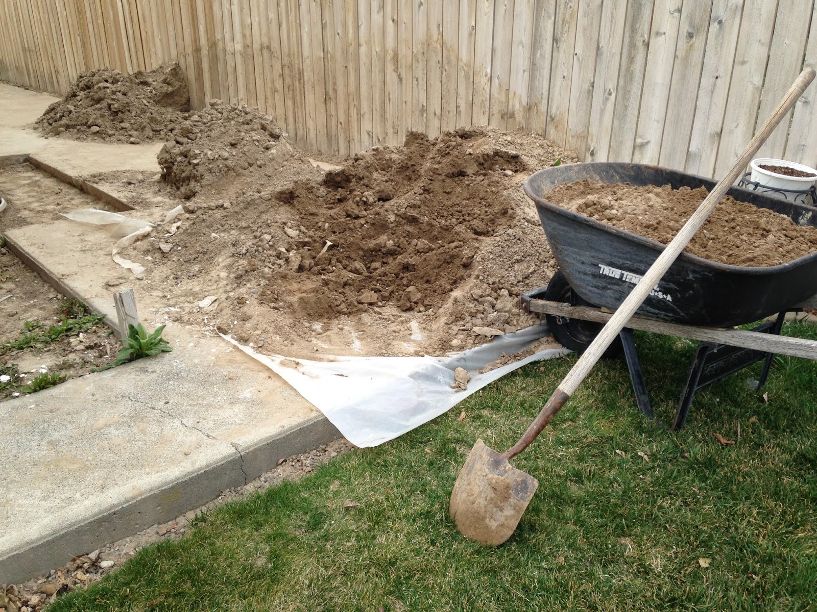 The Tall and The Short Of It All Moving Dirt