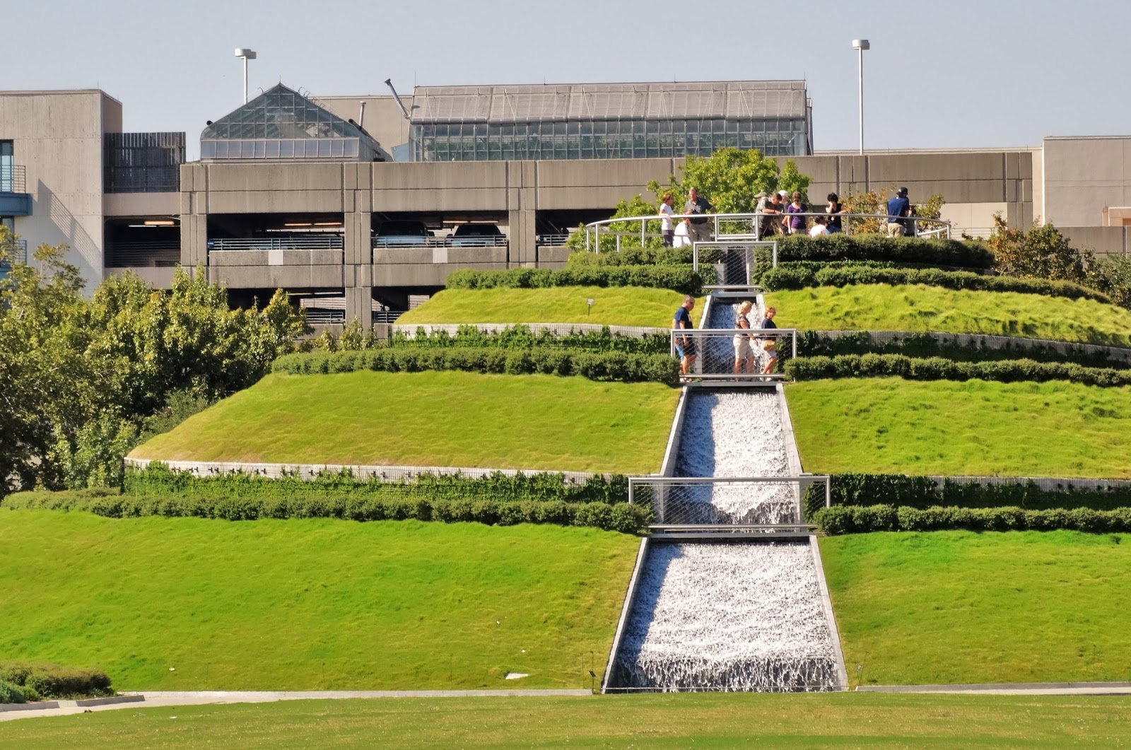 Houston in Pics Where to see wild urban butterflies in Houston At the