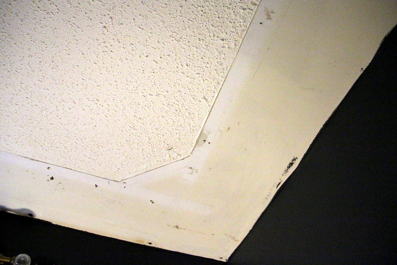 The Feral Turtle Ceiling Tiles Are In!! Canada Ceiling Tiles Gets a Big F!