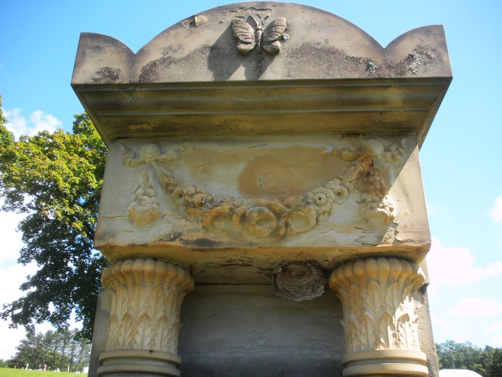 Engraved Bee Hives, Butterflies, Peacocks and Seashells