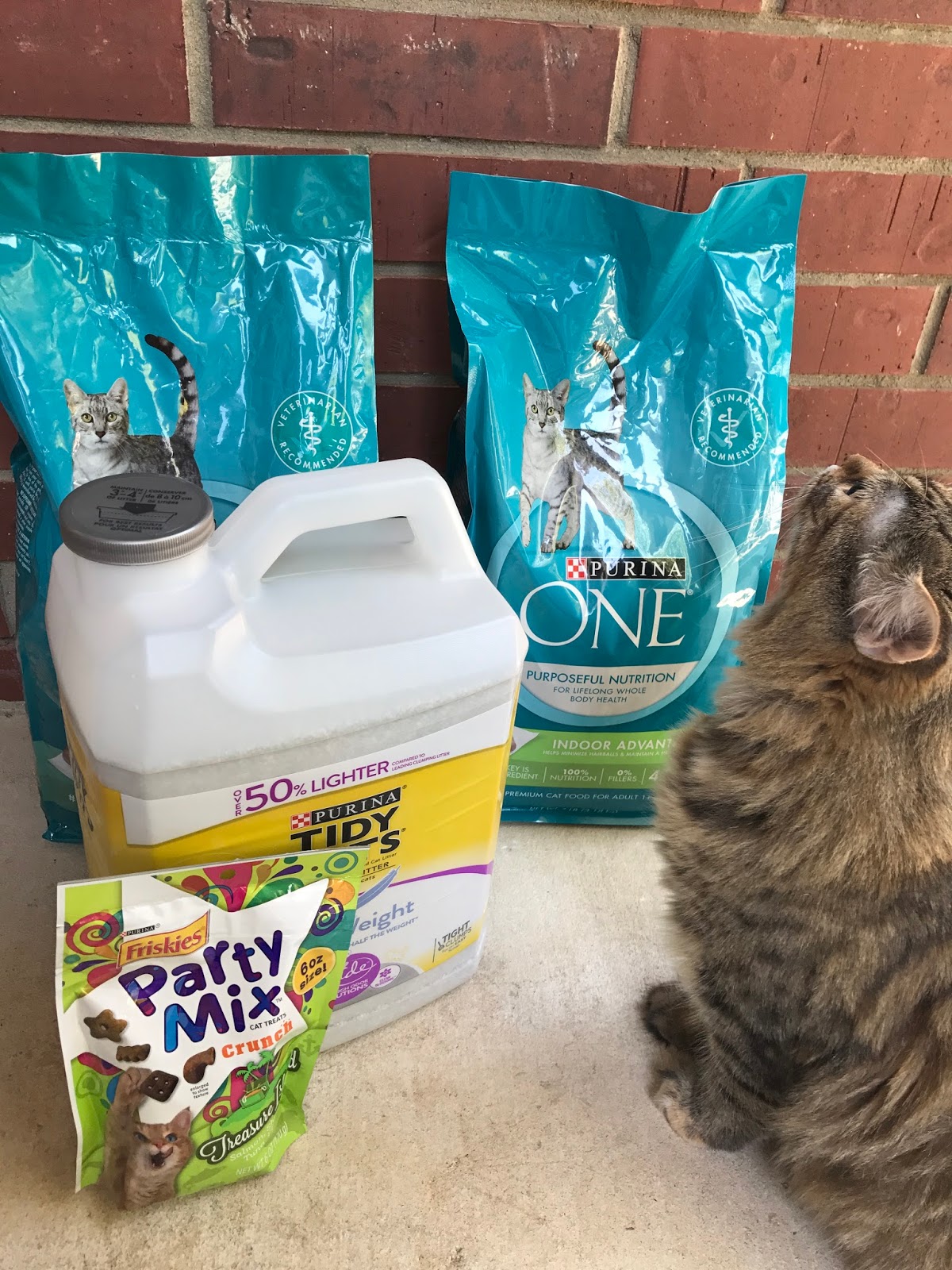 Airing My Laundry, One Post At A Time... Tips To Keep Cats Moving