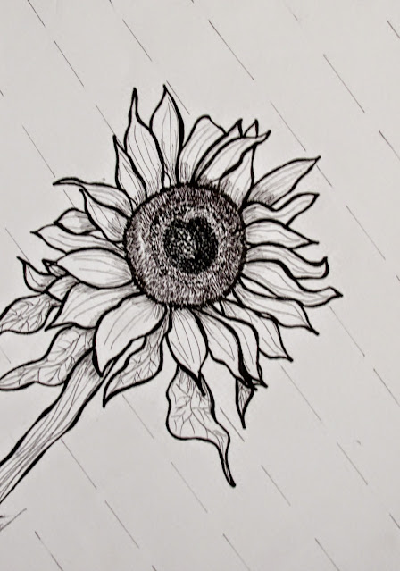 Sunflower: Pen and Ink: Drawing: 30cmx30cm: Miabo Enyadike