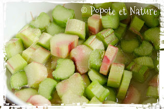 rhubarbe © Popote et Nature