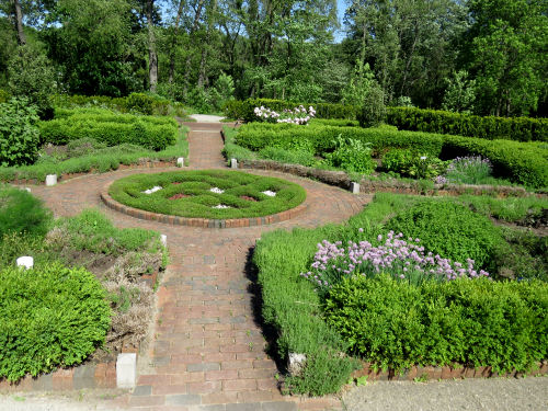 Alexandra Hicks herb knot garden
