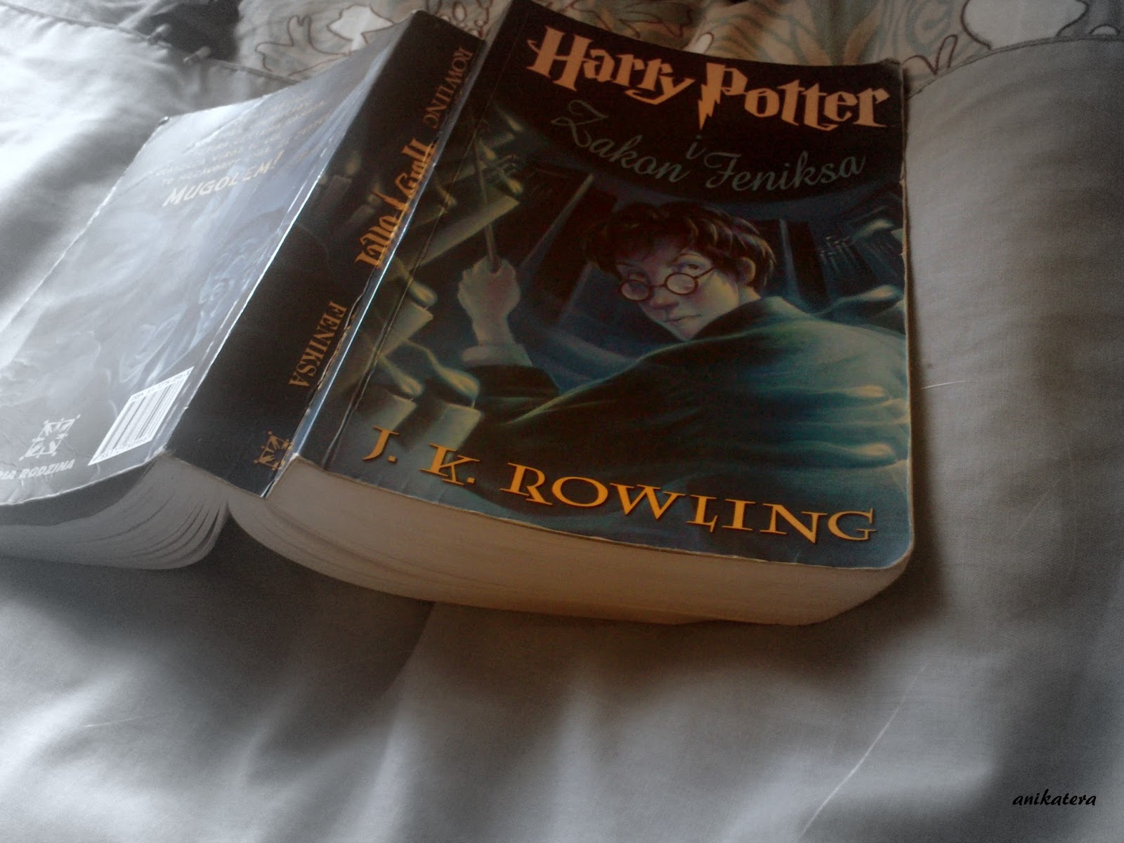 w cieniu wyobraźni...: Harry Potter i Zakon Feniksa