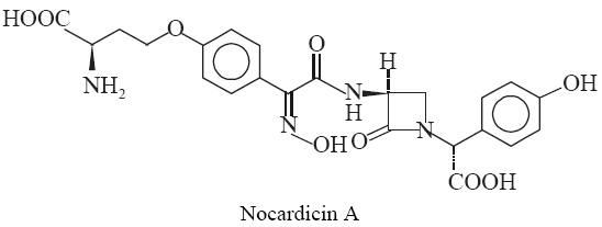 Nocardicin A