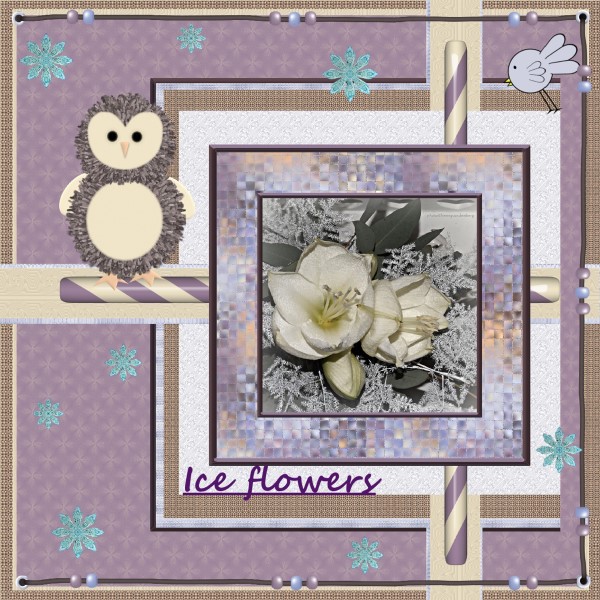 Jan_2016_-_Ice_flowers