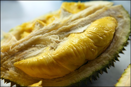Buah durian, durian Sarawak, bau durian mengamuk, isi durian enak dan sedap, hantu durian, penggemar durian, isi durian gebu, raja buah, buah berduri