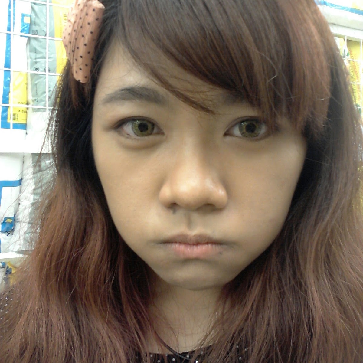 The Frogtastic Chronicles I Have a Flat and Short Nose