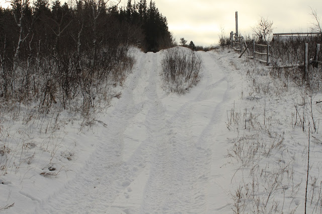 Snowy trail, the path less travelled.