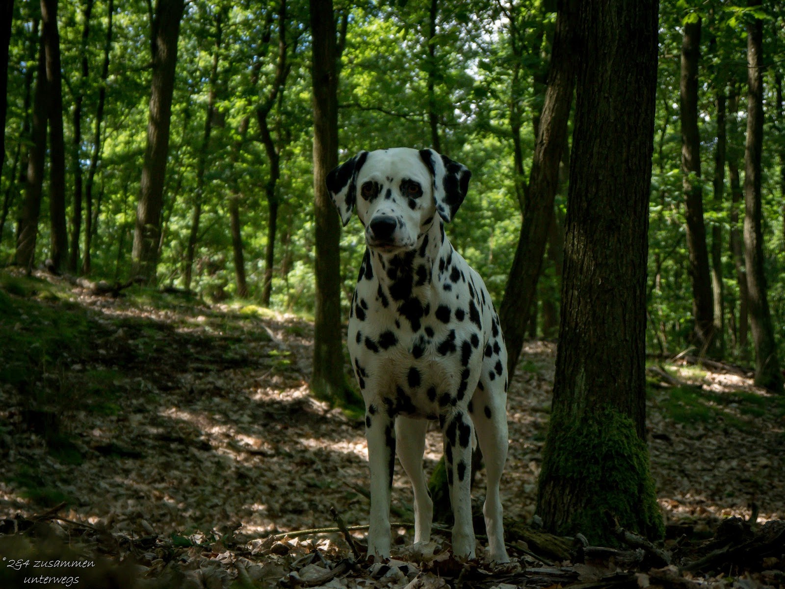 2&amp;4 zusammen unterwegs Unsere Tour durch Märkisch Buchholz
