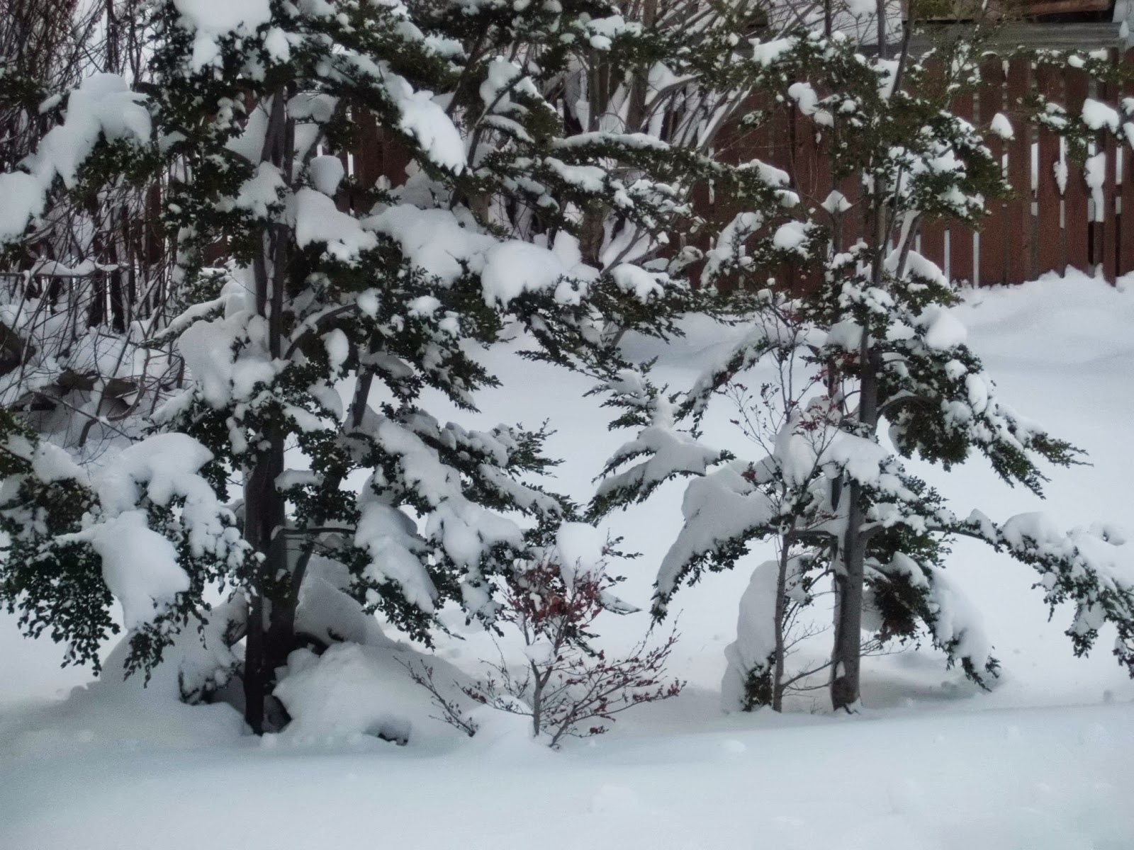 ¡Que me importa tu pasado!: julio 2013