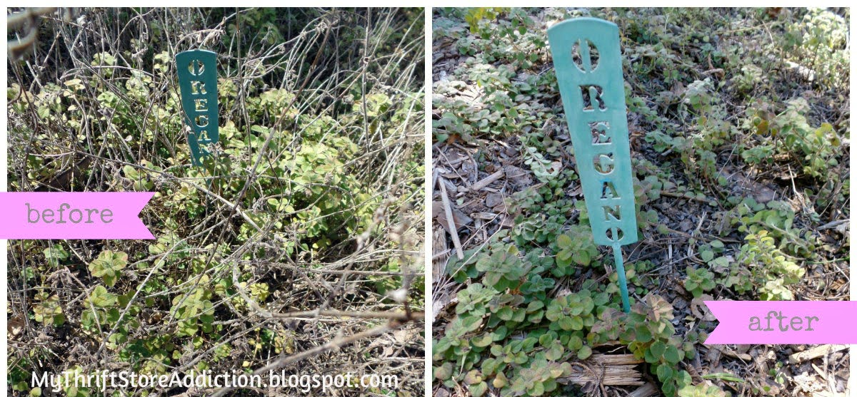 Trim back plants and herbs now for best results in the spring garden:mythriftstoreaddiction.blogspot.com Trim and prune before spring