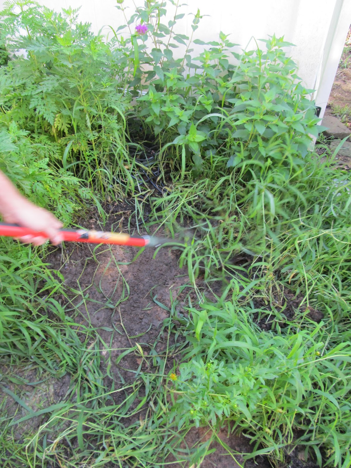 Half Finished House: Backyard Putting Green!