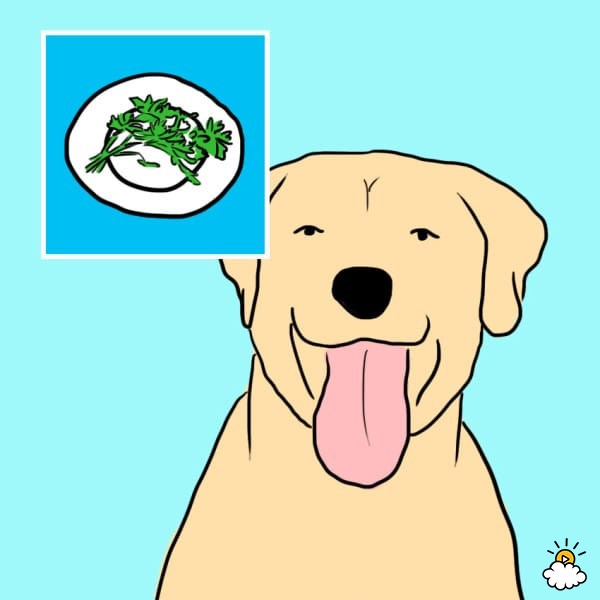 10 ανθρώπινες τροφές που κάνει να δίνετε και με το παραπάνω στον σκύλο σας!  (Φώτο)