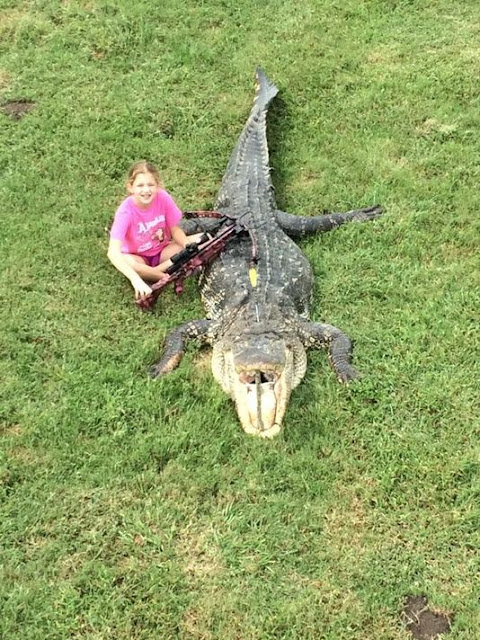 http://www.khou.com/story/news/local/animals/2015/10/06/ten-year-old-girl-takes-down-13-foot-gator/73485412/