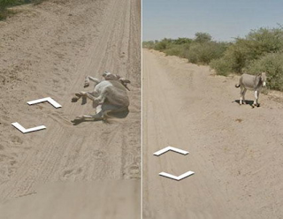 Kumpulan Gambar Google Street View Lucu