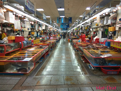Percutian ke Busan Kores Selatan Tempat Menarik Jagalchi Market Percutian ke Busan Kores Selatan Tempat Menarik Jagalchi Market