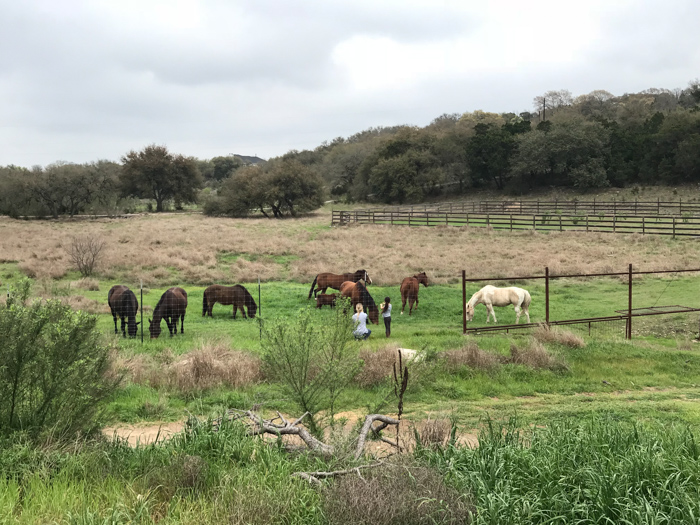 Lauren Rebecca Weekend Vibes Coffee, Wild Horses & Car Washes.