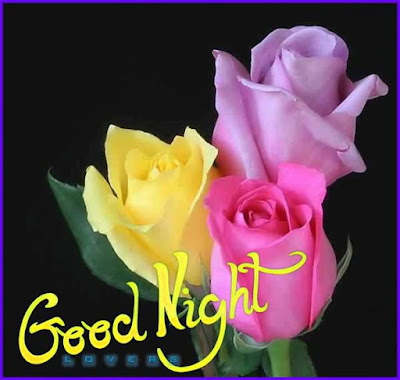 Good Night Shayari Good Night Shayari