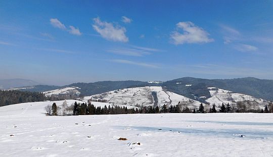 Widok na grzbiet Gorców, w kierunku polany Przysłop. Widok na grzbiet Gorców, w kierunku polany Przysłop.