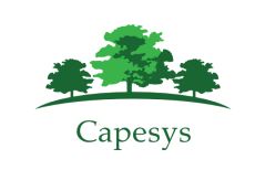 CapeSys