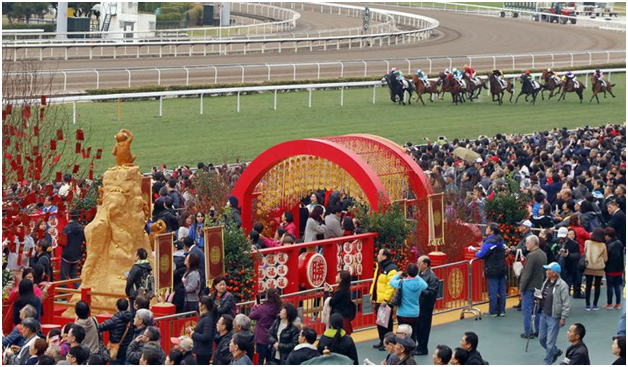 A Quick Look Into the Festivities Of Chinese New Year In Hong Kong!