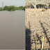 FIQUE SABENDO! / Riachão vive contraste climático: há um ano, a cidade era inundada; hoje, seca torra o chão