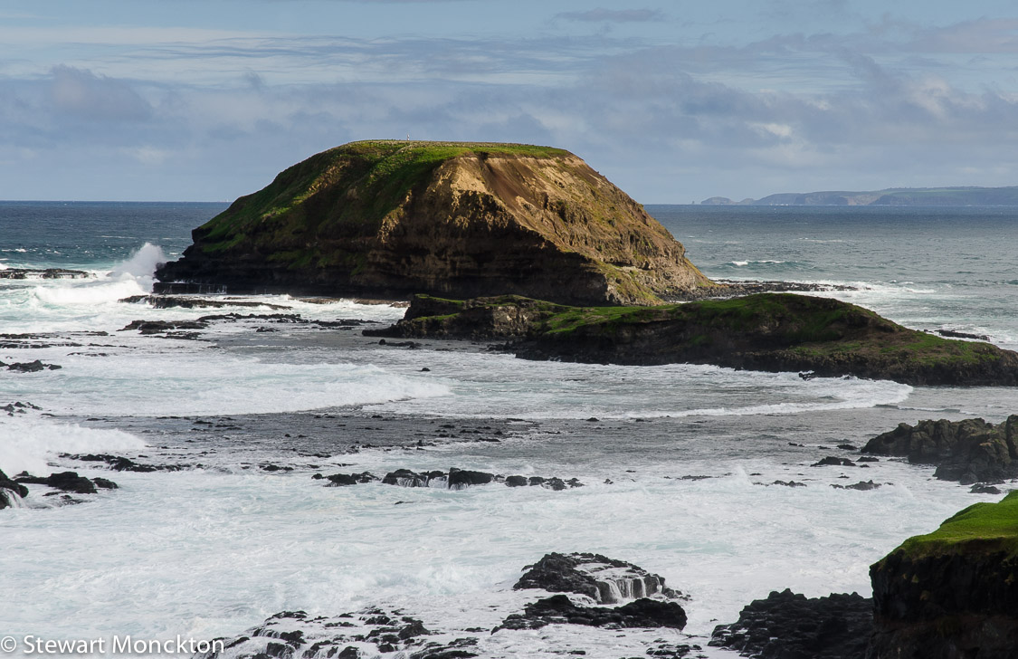 Paying Ready Attention Photo Gallery The Nobbies