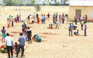 தண்ணீர் பிரச்சினை தீர உதவிய சிக்கண்ணா அரசு கலை கல்லூரி என்.சி.சி. மாணவர்கள் இரண்டரை ஏக்கரில் மரங்களை நட்டு வளர்த்து வருகிறார்கள்