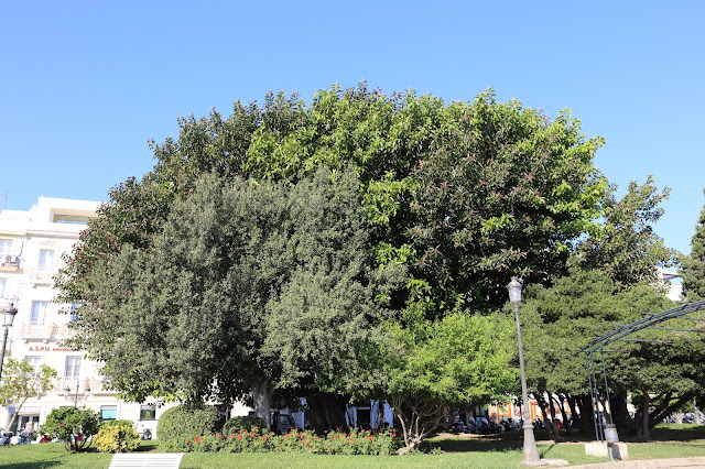 Paseo de Canalejas - Cádiz