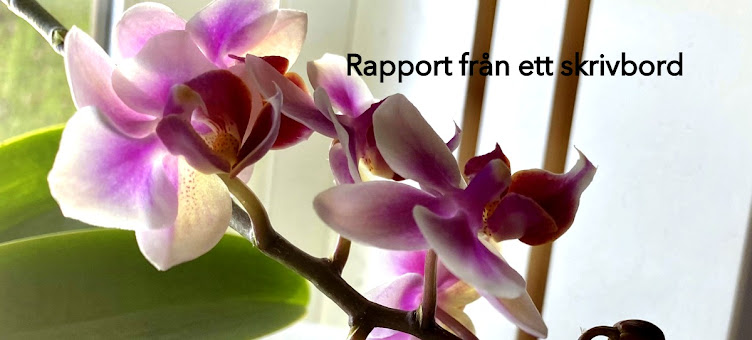 Rapport från ett skrivbord