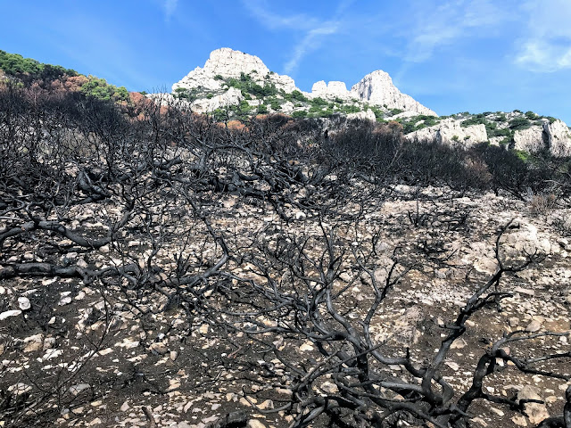 calanques-incendie-marseille