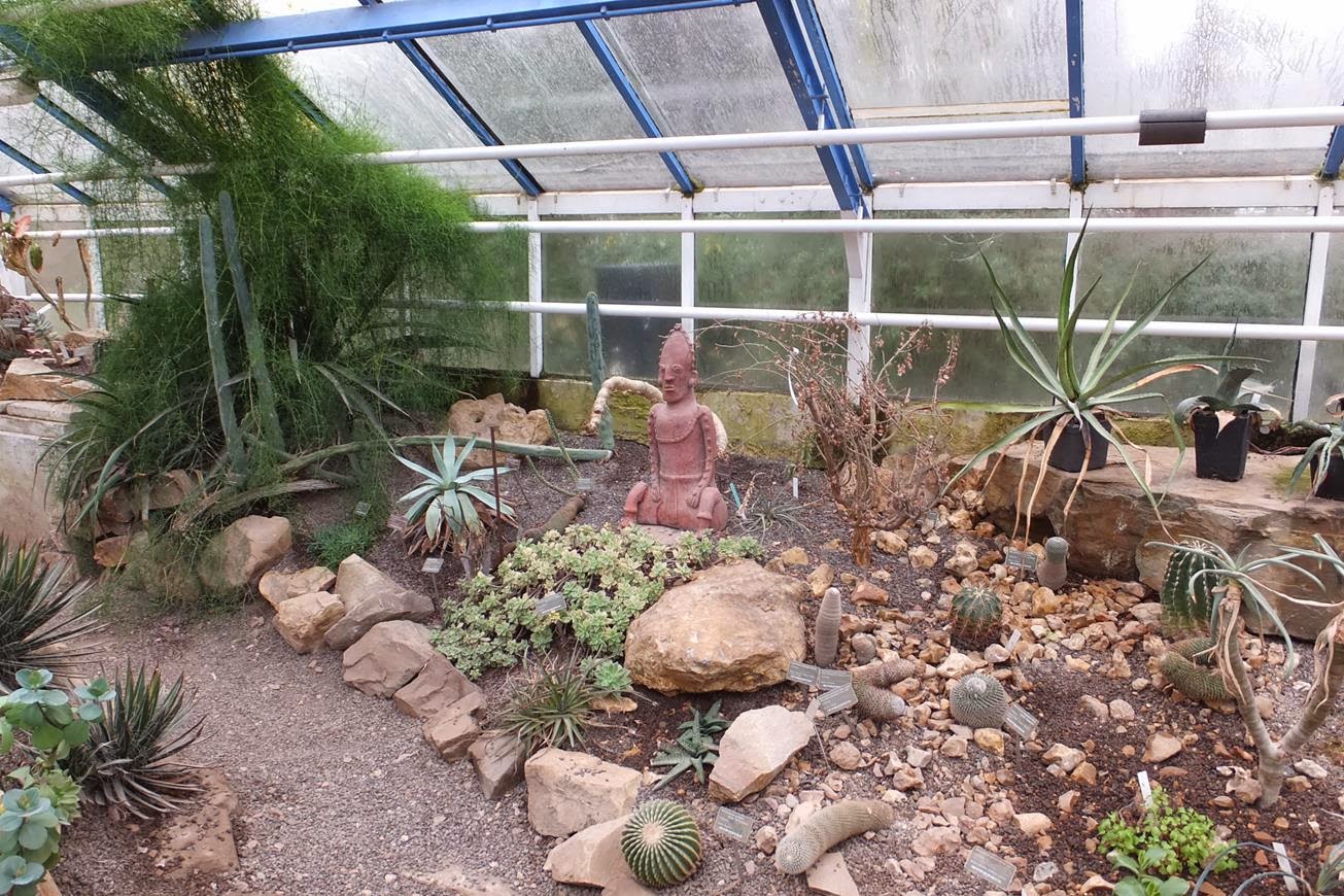 Alternative Eden Exotic Garden: Butterflies and Baja California