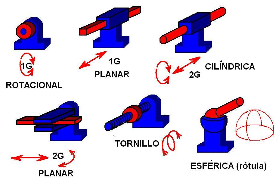 grados de libertad y taxidermia