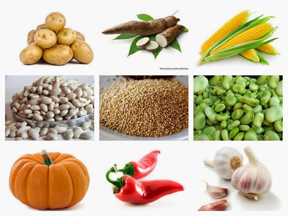 Pueblos Originarios de Chile Nutrición y Dieta Pueblos Norte Pueblos Originarios de Chile Nutrición y Dieta Pueblos Norte