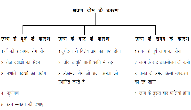 श्रवण विकलांगता कारण श्रवण विकलांगता कारण