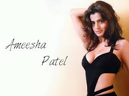 hot and sexy Amisha Pate photo