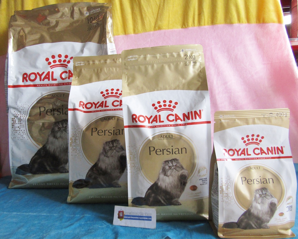 Update Royal Canin Cat Kucing Rayrainbow Petshop