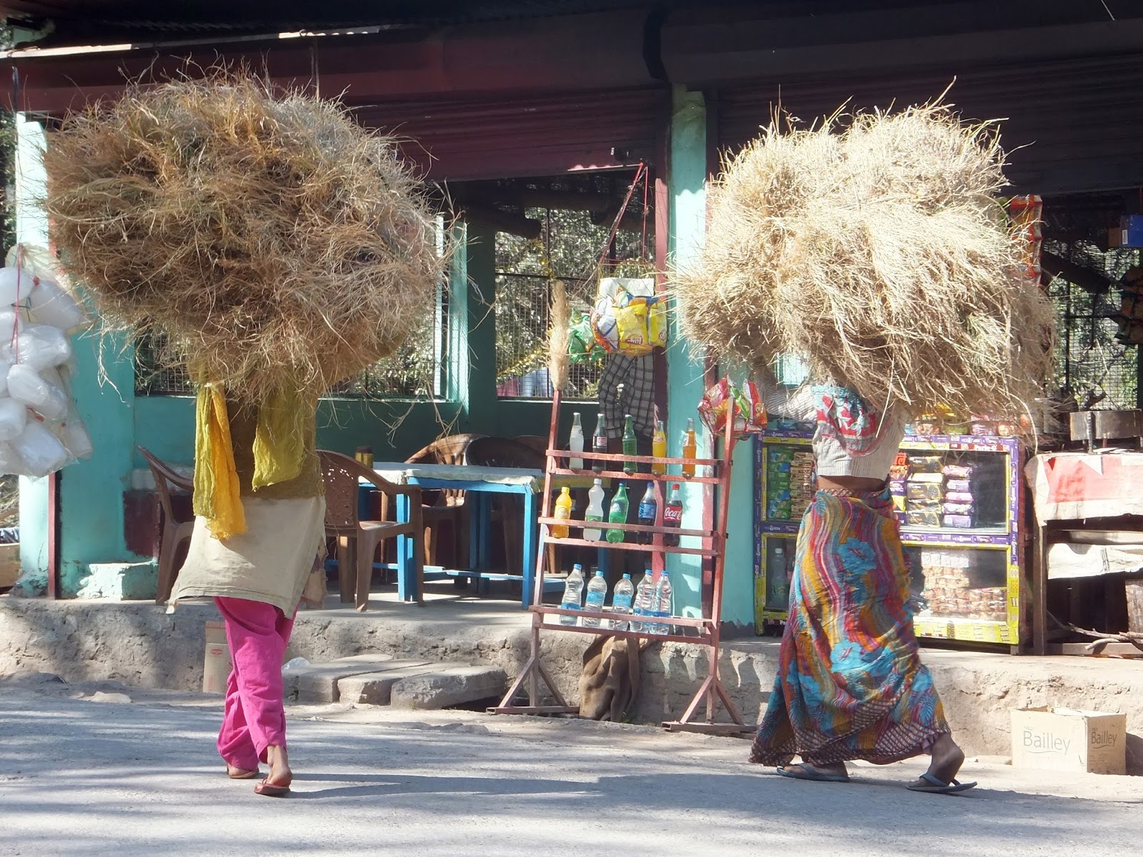Индийские женщины несут на голове охапки сена